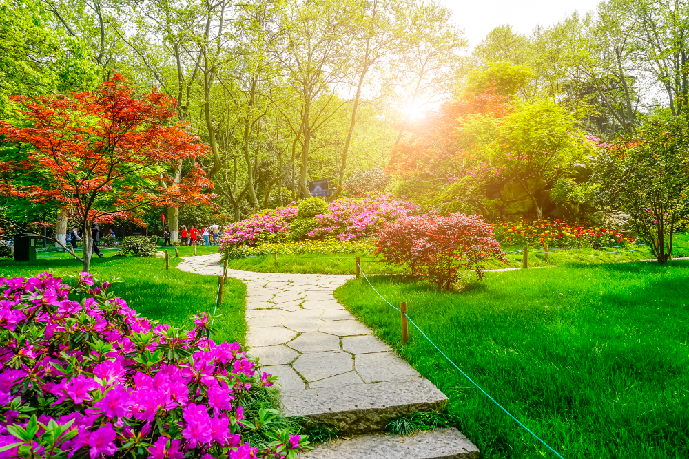 Ιδέες για τον κήπο των ονείρων σας και πώς να τον προστατέψετε